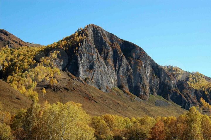 Участок 3 га (СНТ, ДНП)