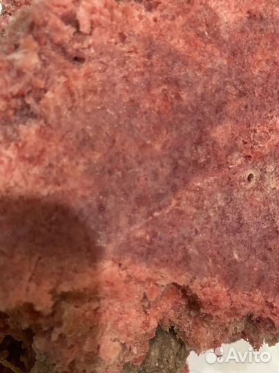 Мясо для собак