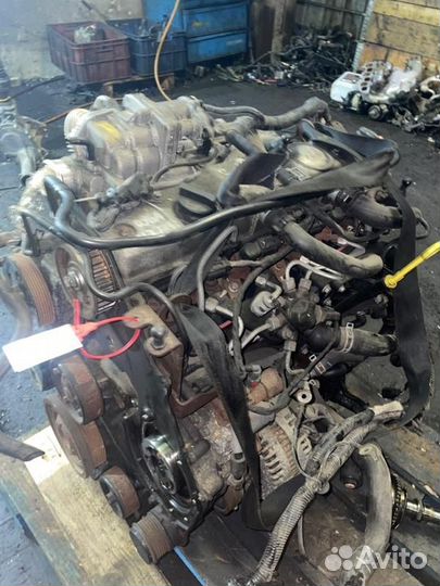Двигатель Ford Mondeo qyba