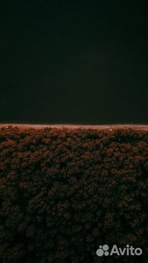 Видеосъёмка, видеограф, видеооператор, reels