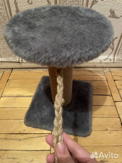 Лоток для котенка. Когтеточка для котенка