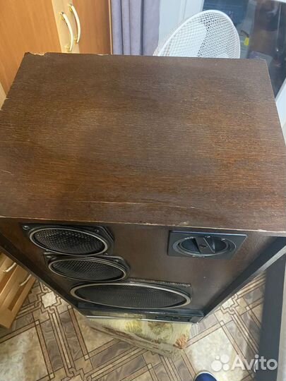 Колонки радиотехника s90