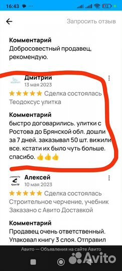 Улитки Теодоктус астраханикус