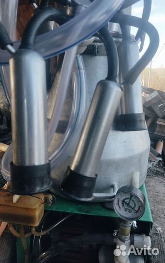 Доильный аппарат для коров