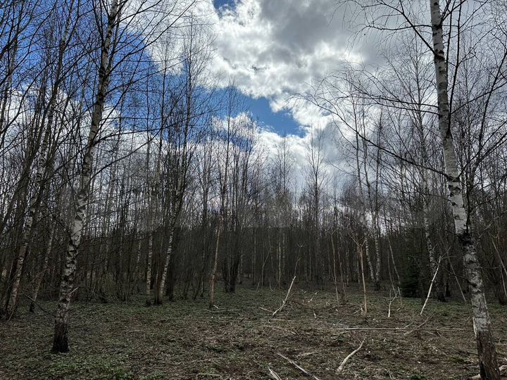 Участок 6 сот. (ИЖС)