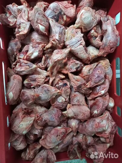 Куриные головы