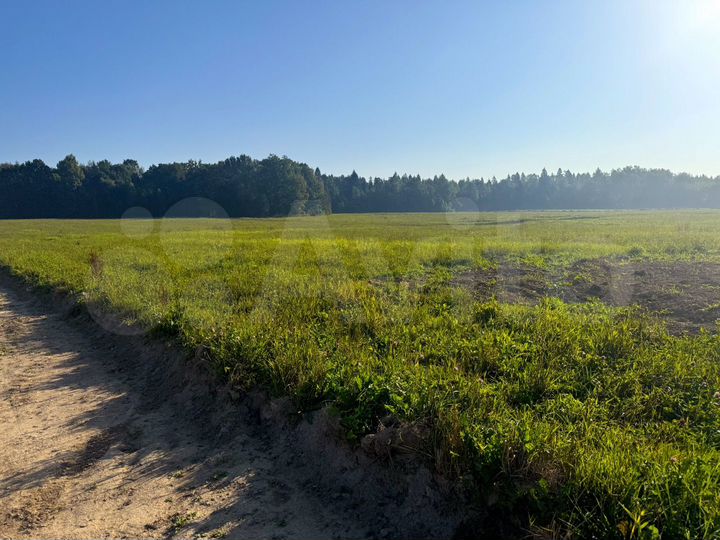 Участок 6,4 сот. (ИЖС)