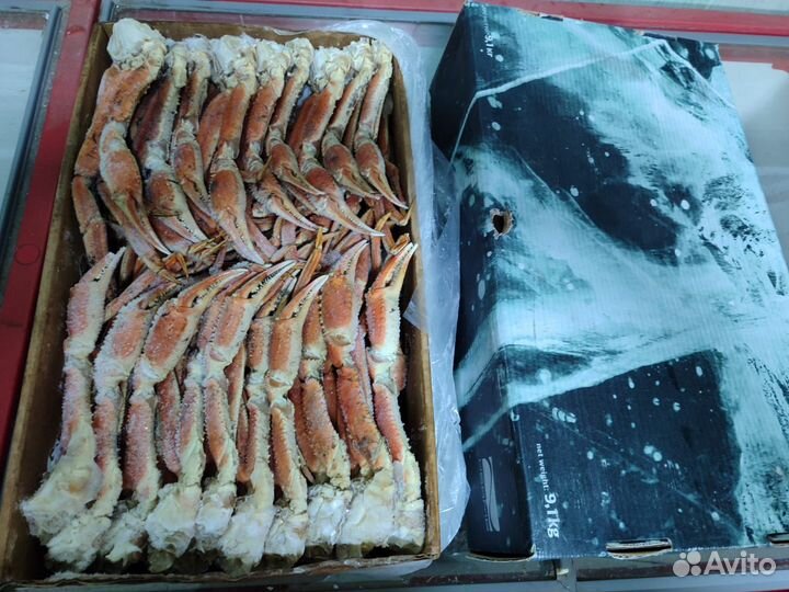 Краб Камчатский, стригун, волосатик