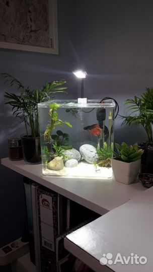 Аквариум на заказ. Подарок на 1 сентября