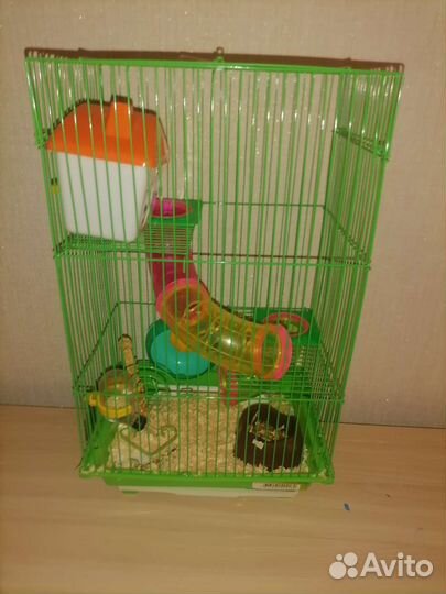 Джунгарский хомяк с клеткой