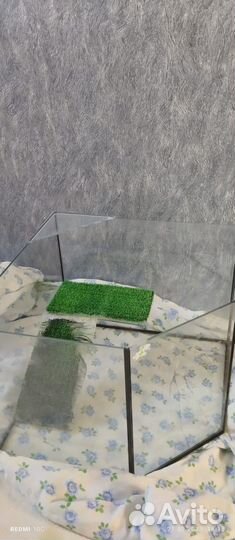 Аквариум для маленькой красноухой черепахи