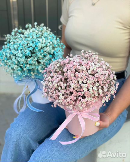 Цветная Гипсофила в Коробках Доставка/Самовывоз