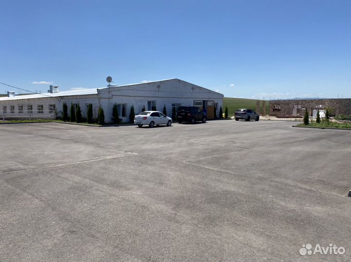 Постой лошадей