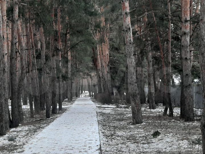 Дом 232 м² на участке 16 сот.