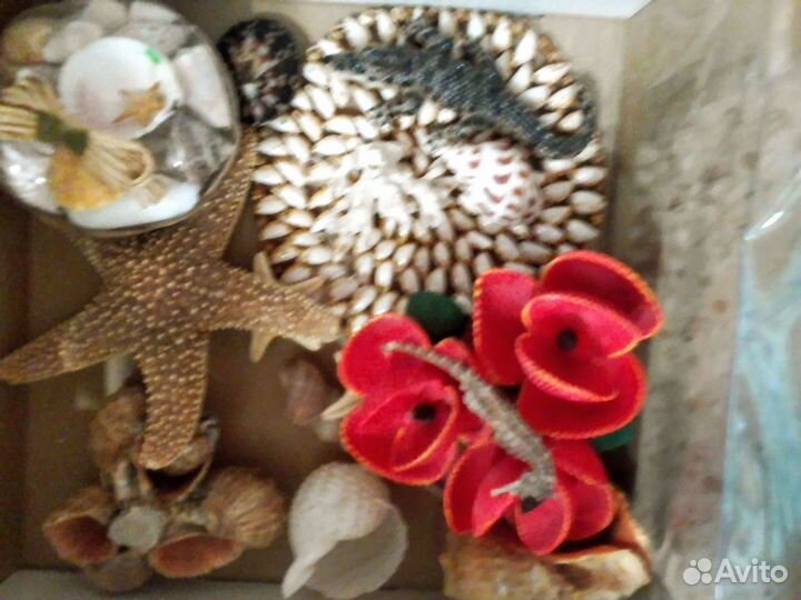 Сувениры, ракушки, и т.д