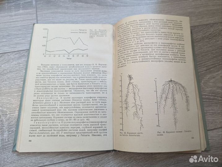 Генкель физиология растений