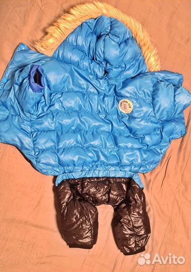 Зимний комбинезон для средних собак