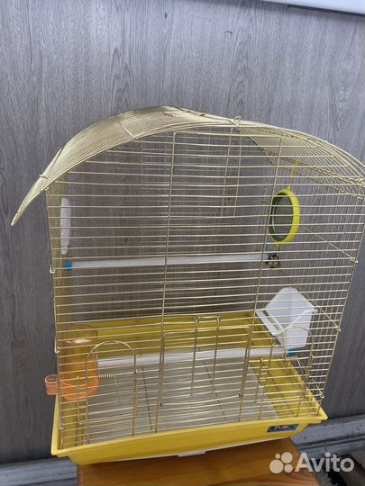 Клетка Попугая