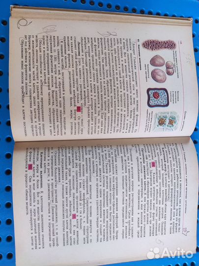 Общая биология 10-11 класс, Полянский