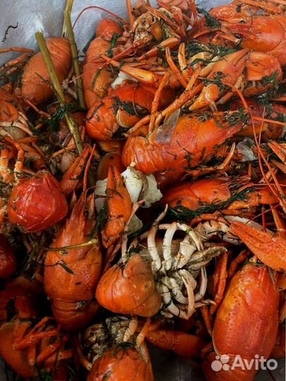 Раки для вашей компании