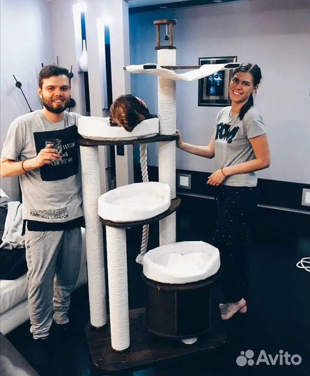 Когтеточка