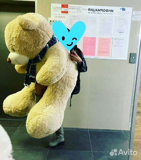 Плюшевый медведь