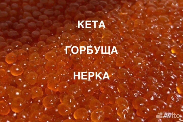 Икра красная кета горбуша нерка улов 2023 опт