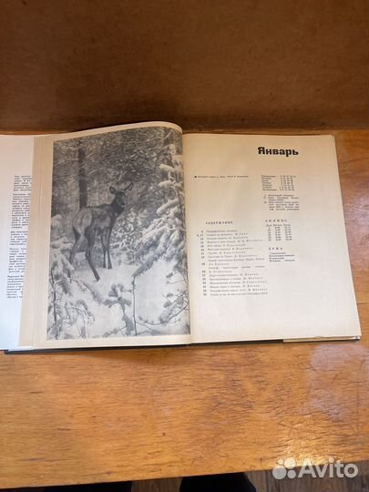 Земля и люди 1966