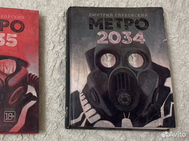 Книга Metro 2034