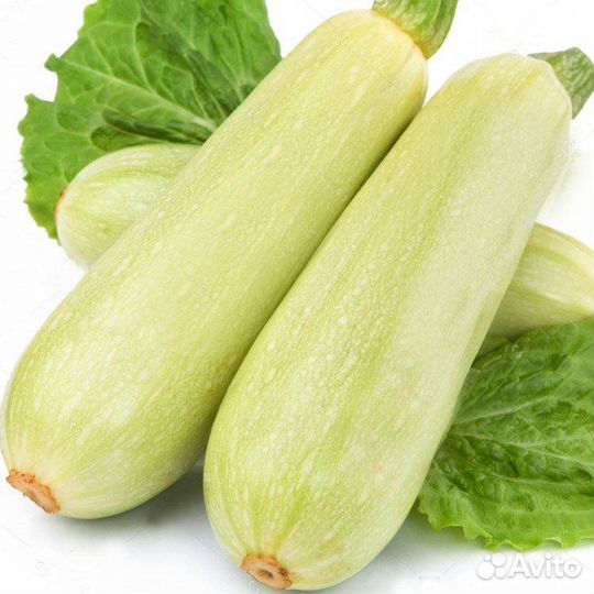 Продам цветную капусту, кабачки, брокколи, огурцы