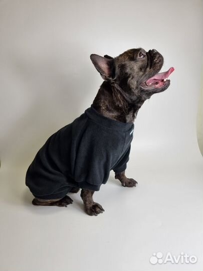 Свитшот для собак средних пород. Размер 40