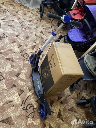 Прокат самокатов