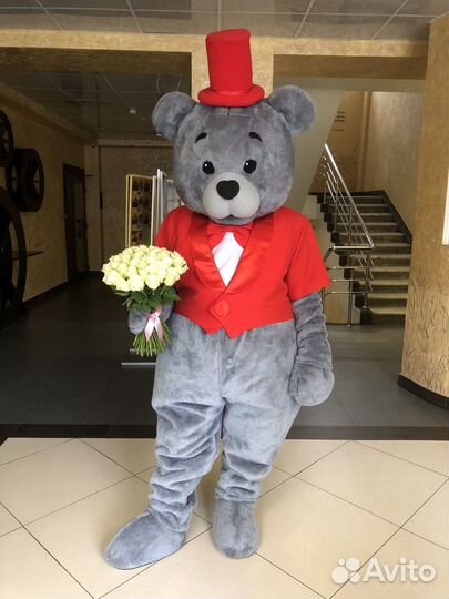 Поздравление от мишки аниматор на праздник