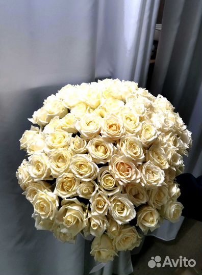 Букет роз. Розы 101 шт