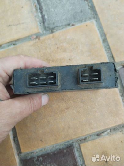 Мозги Сузуки интрудер