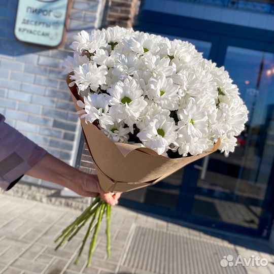 Розы цветы букеты доставка