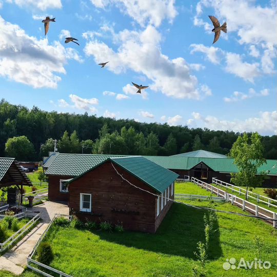 Конный клуб