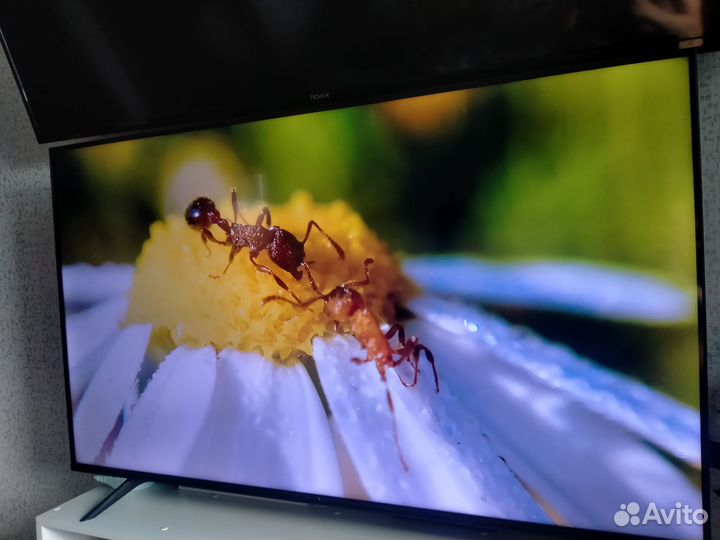 Телевизор SMART tv dexp 55