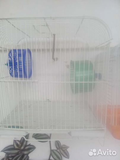 Клетка для попугая