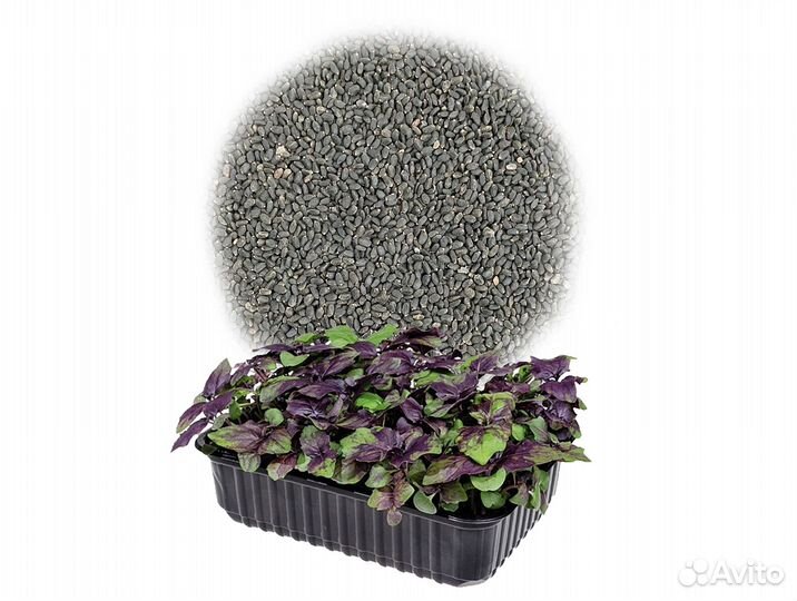 Семена Микрозелень от 50 грамм арт.0017