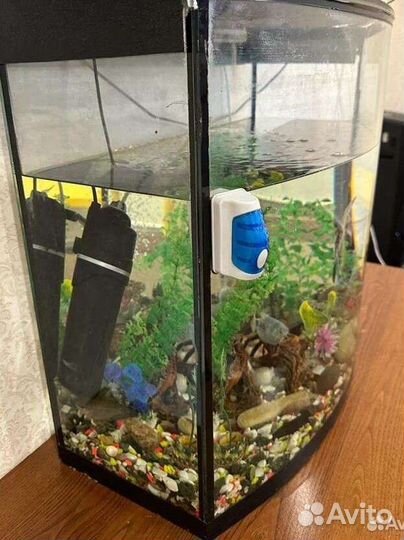 Аквариум с рыбками бу