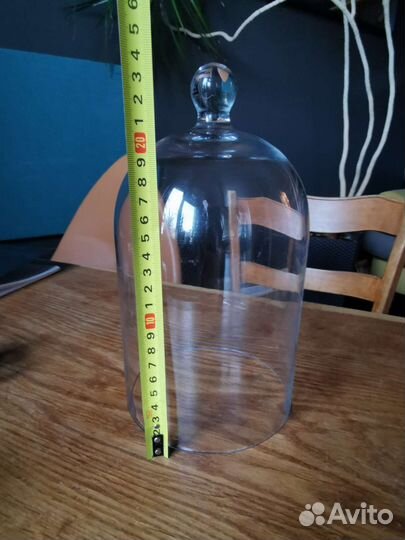 Клош стеклянный