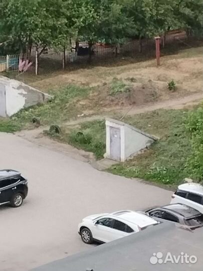 Ячейка в овощехранилище