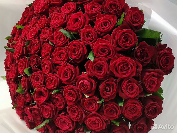 101 роза 51 31 25 15 Роза Цветы доставка