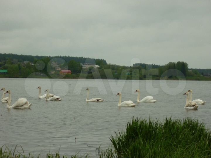 Участок 550 га (СНТ, ДНП)