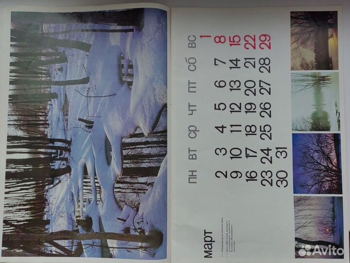 Фотокалендарь 1981г