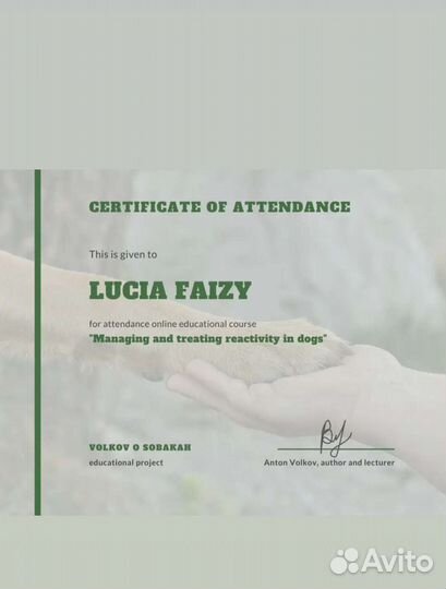 Зоопсихолог. Кинолог. Работаю с собаками и кошками