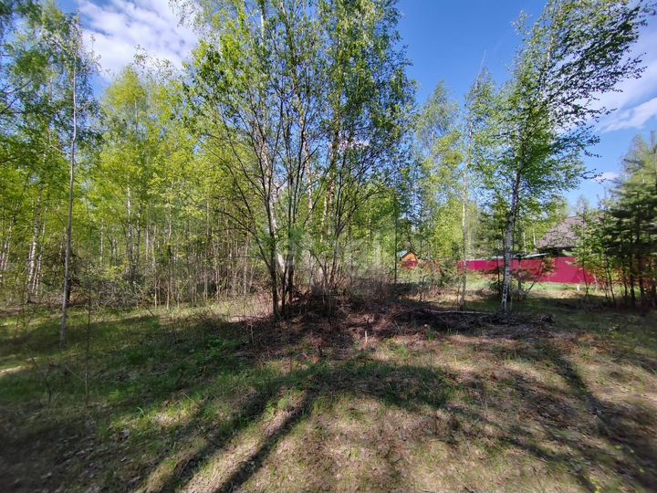 Участок 8 сот. (СНТ, ДНП)