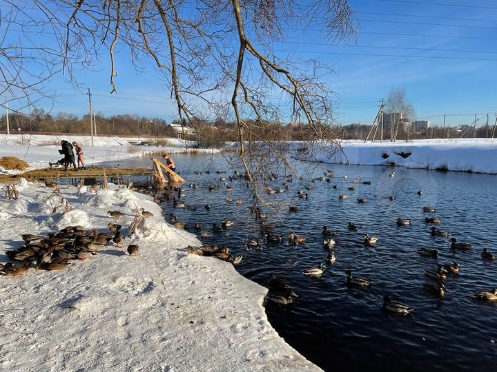 Участок 18 сот. (ИЖС)