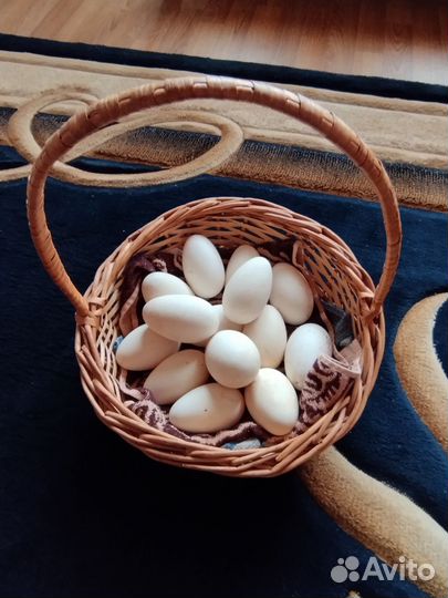 Яйцо гусиное